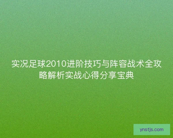 实况足球2010进阶技巧与阵容战术全攻略解析实战心得分享宝典