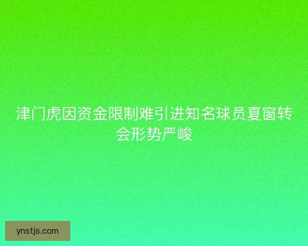 津门虎因资金限制难引进知名球员夏窗转会形势严峻