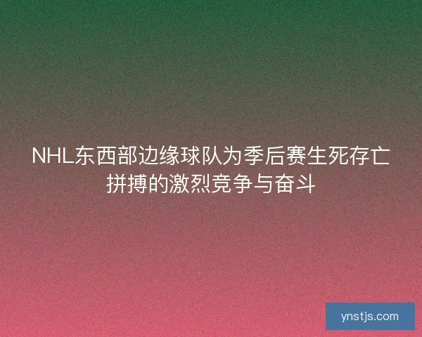 NHL东西部边缘球队为季后赛生死存亡拼搏的激烈竞争与奋斗